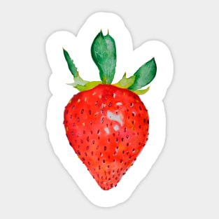 Fresh watercolor strawberry Sticker